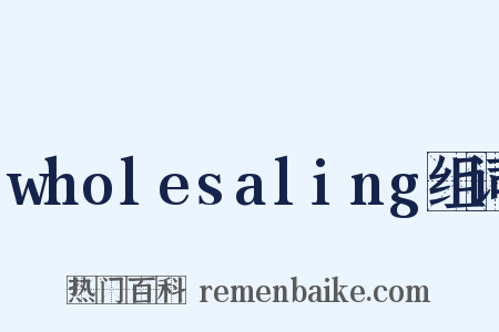 wholesaling组词是什么意思的图片